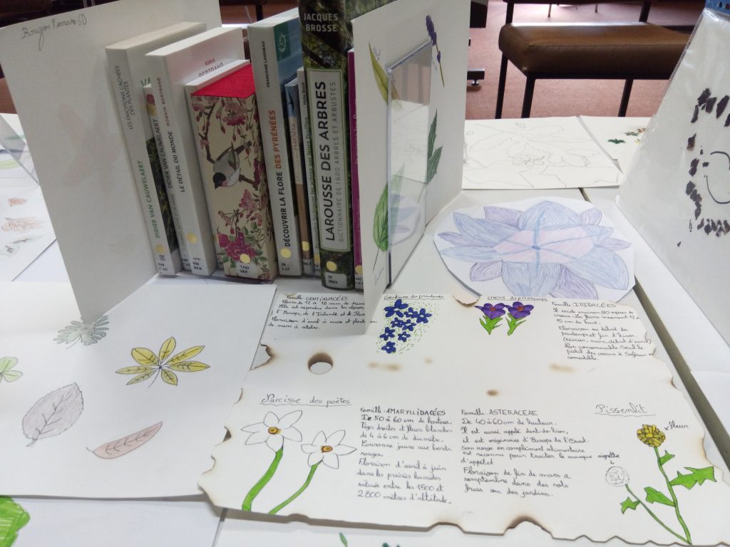 Naturalistes en herbe !