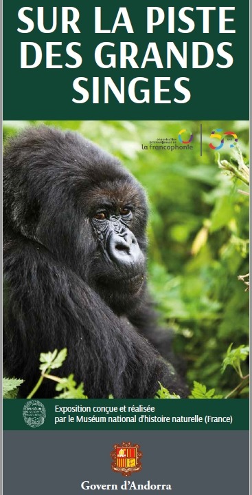 Sur la piste des grands singes, exposition du 12 au 30 avril