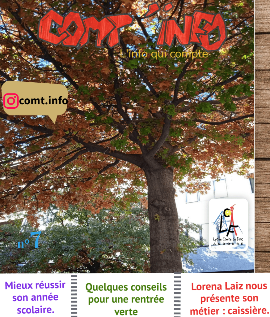 Découvrez les actualités du collège dans le site du Comt&rsquo;Info!
